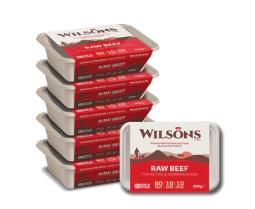 Wilsons Raw Core Range - Beef 500g