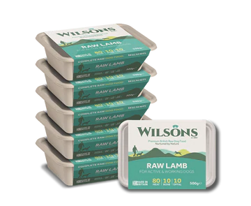 Wilsons Raw Core Range- Lamb 500g