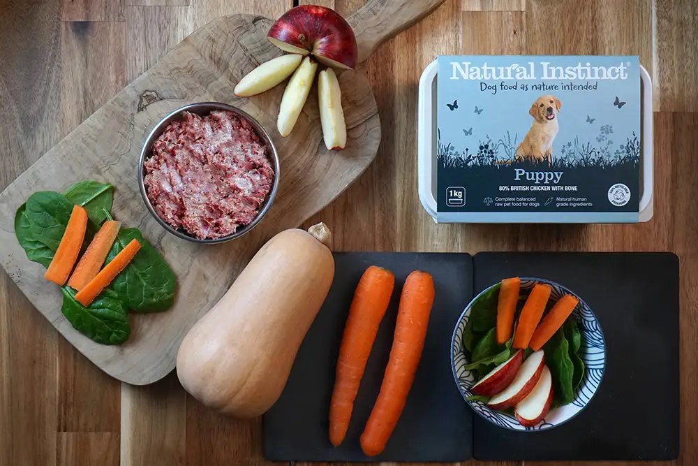 Natural Instinct - Raw Puppy 2x500g