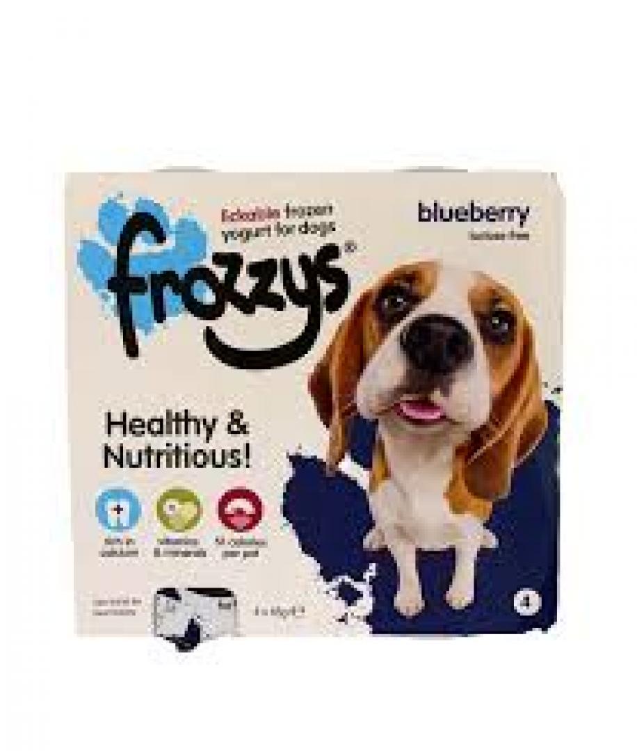 Frozzy Frozen Yogurt - Blueberry 4 pack