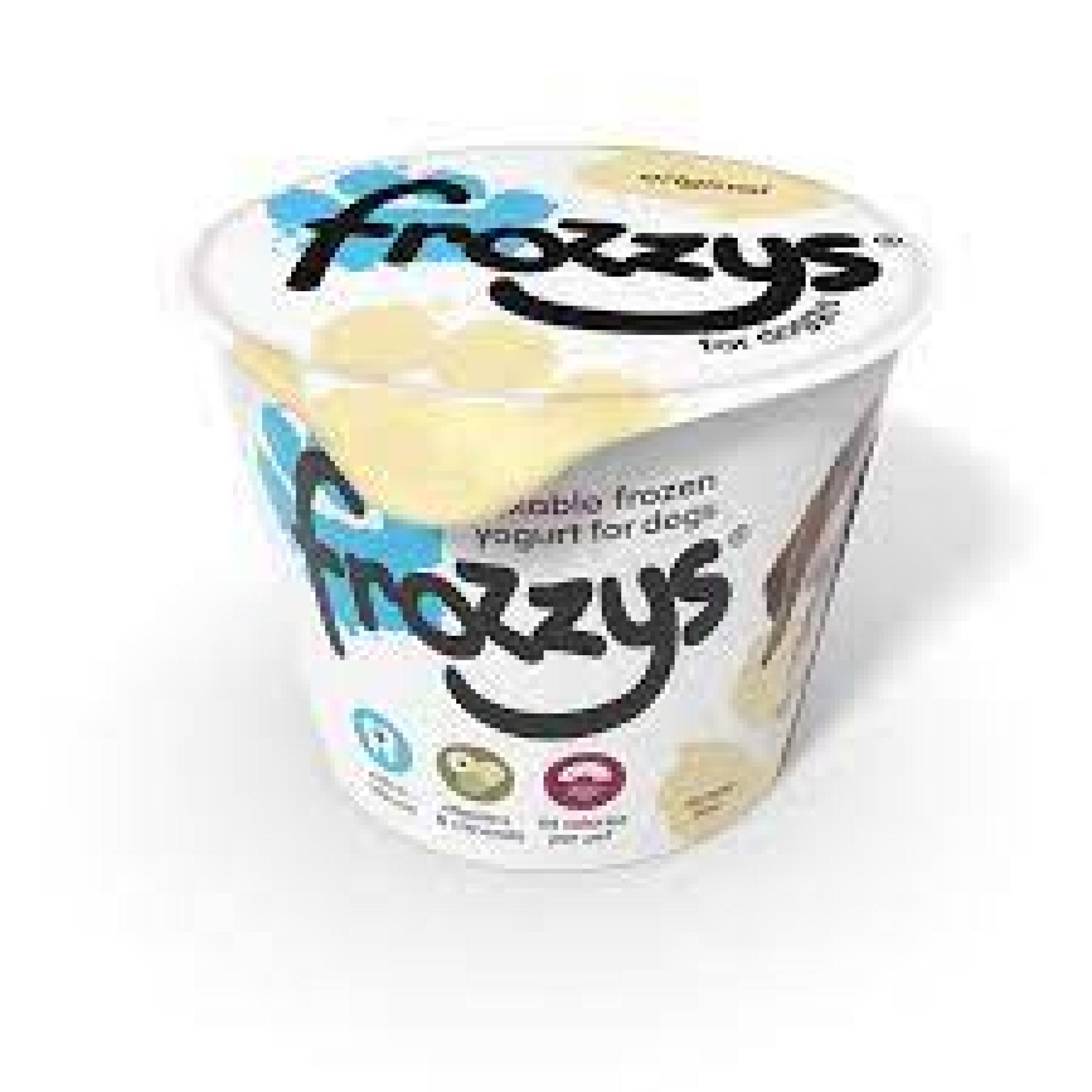 Frozzy's Frozen Yoghurt - Original Flavour (single)