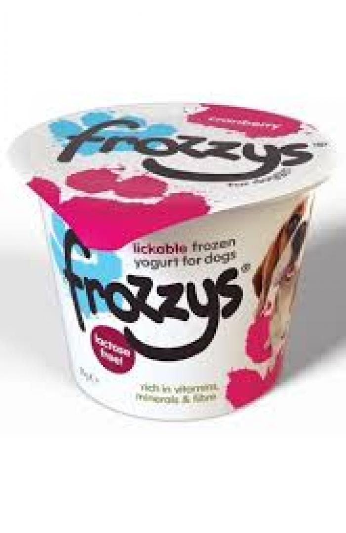 Frozzys Frozen Yogurt - Cranberry (single)