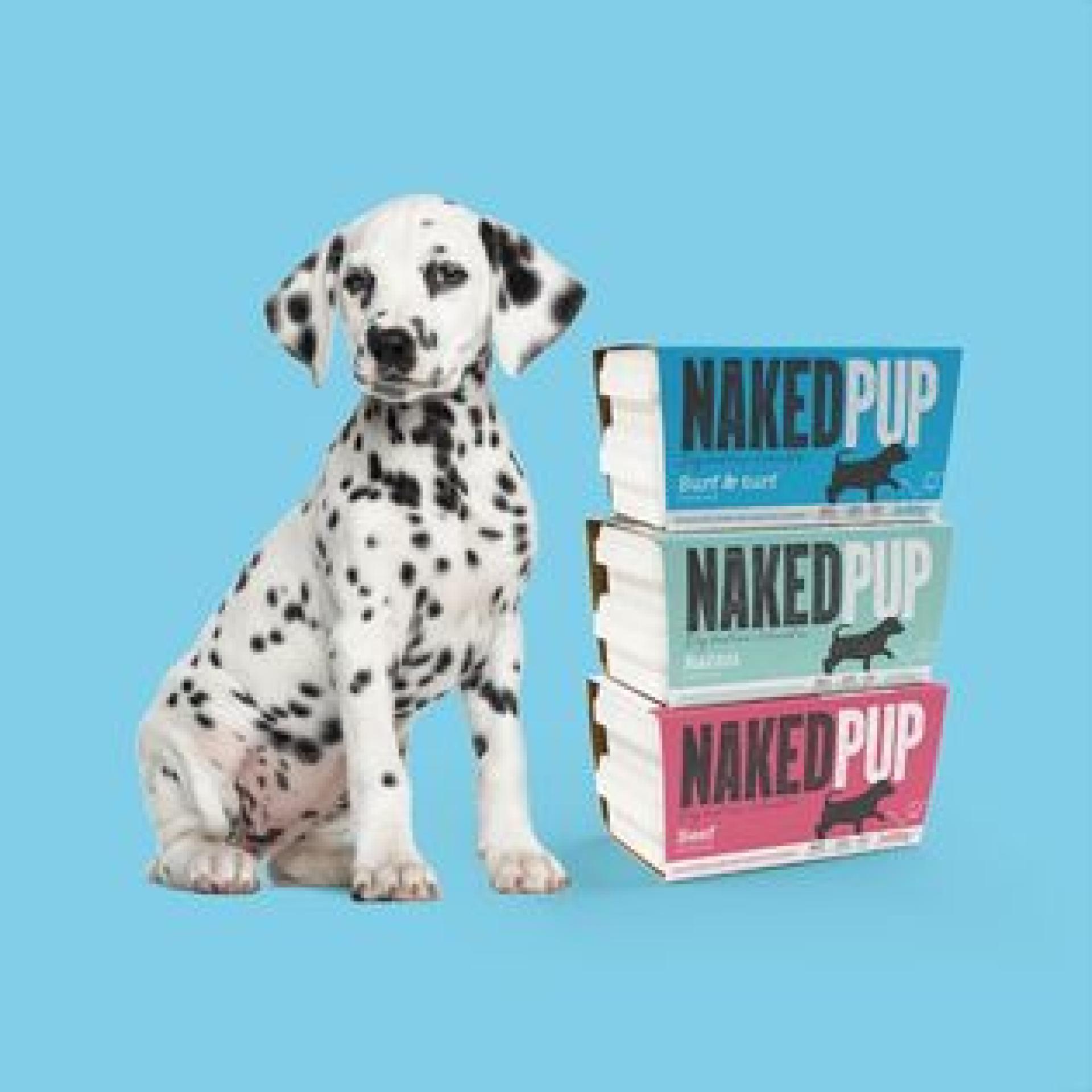 Naked Pup Rabbit 2x500g