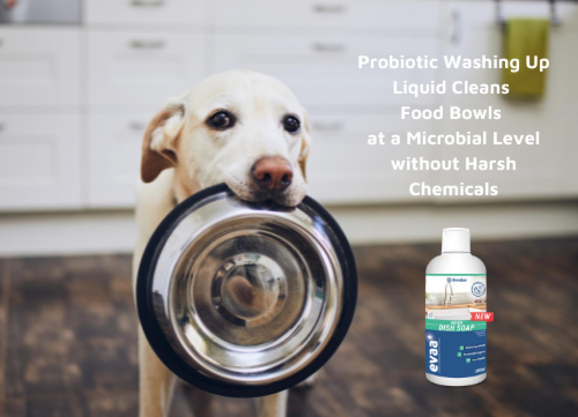 Evaa+ Probiotic Washing Up Liquid 300ml