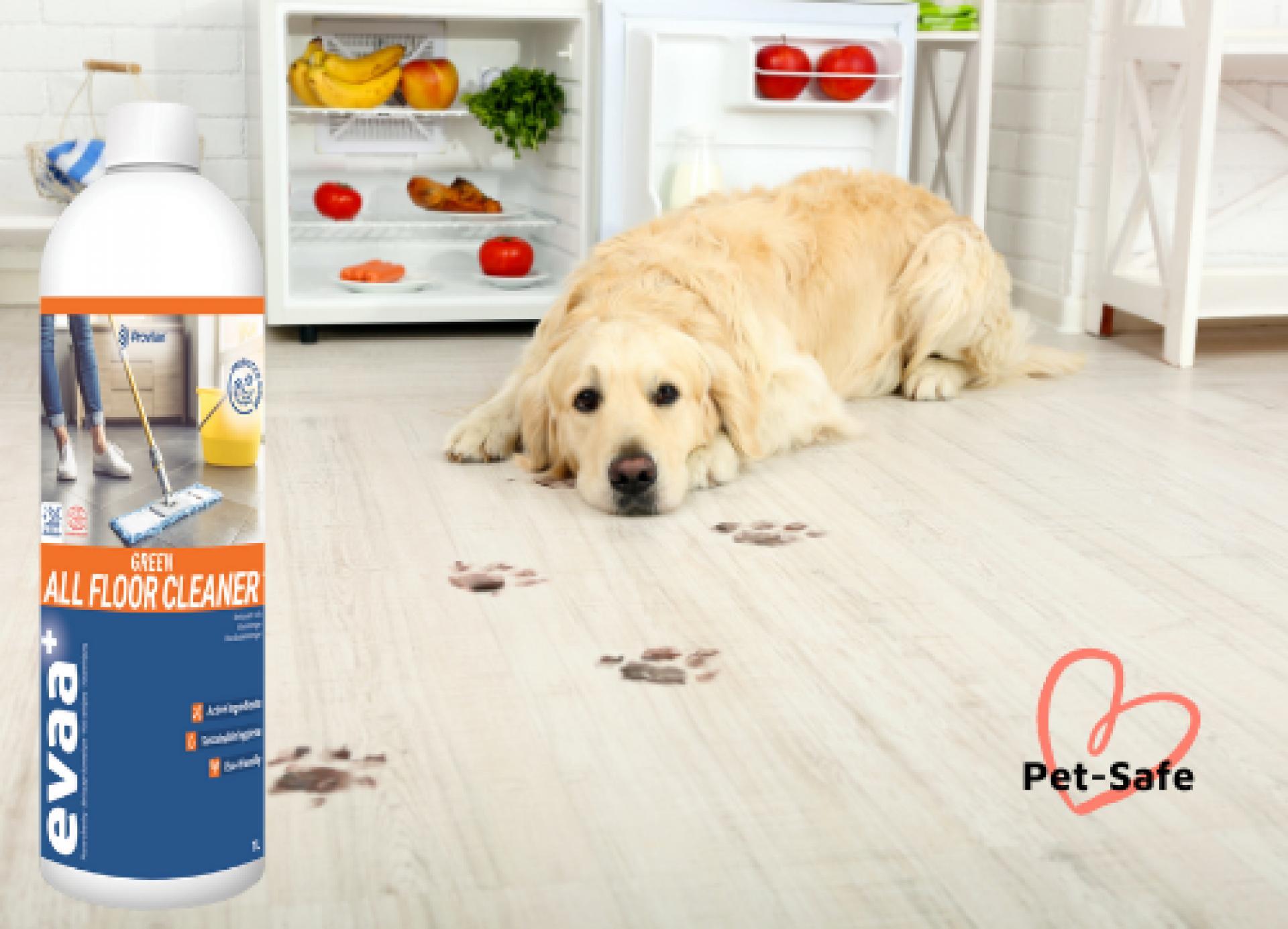 Evaa+ Probiotic Floor Cleaner 1L
