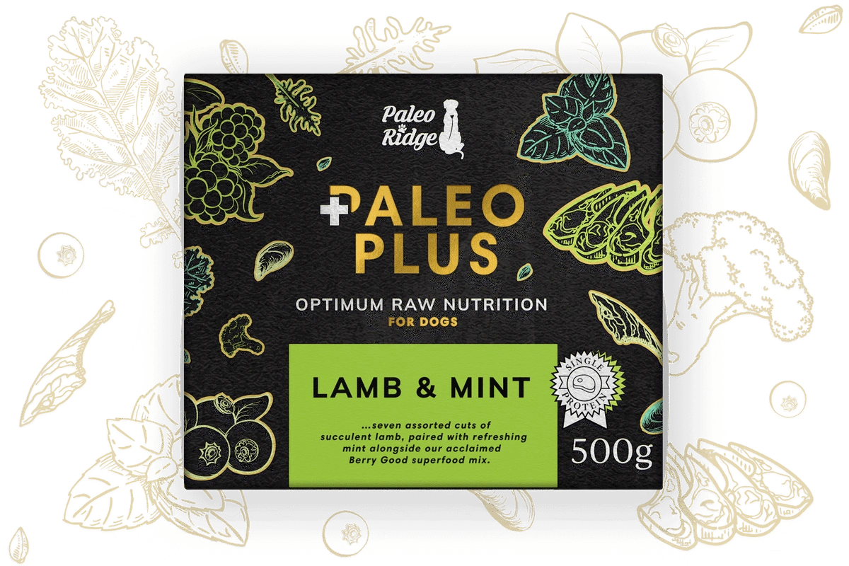 Paleo Plus Lamb & Mint 500g