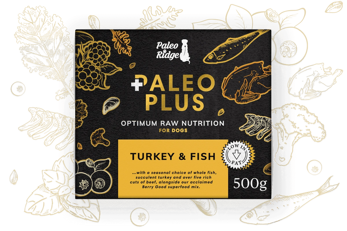 Paleo Plus Turkey & Fish 500g 