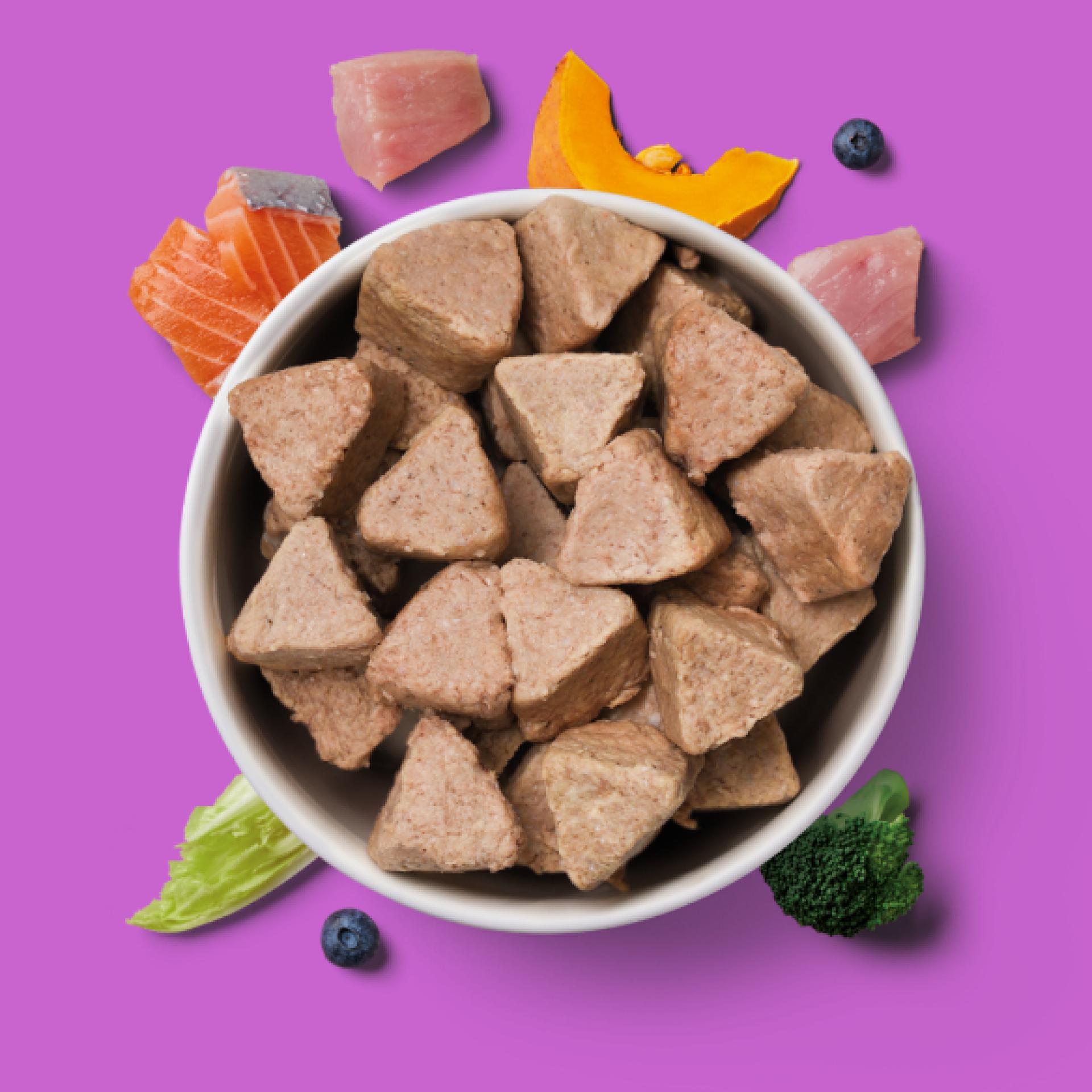 Nutriment Raw Turkey & Salmon Senior Nuggets 1kg 